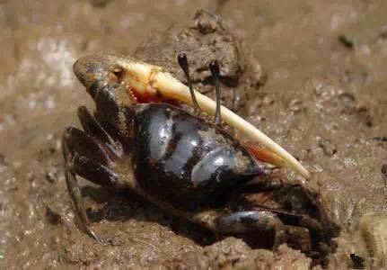 那些不认识的海鲜小干货,超级干货2022