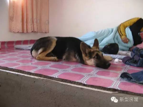 北方人火炕是怎样烧火取暖,北方人爱睡火炕