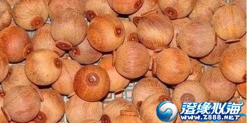 小叶紫檀做佛珠怎么样,小叶紫檀加工过程