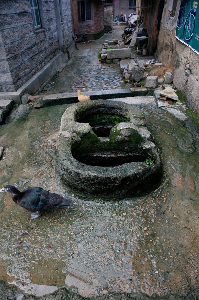 阴阳井真实故事,阴阳井民间故事