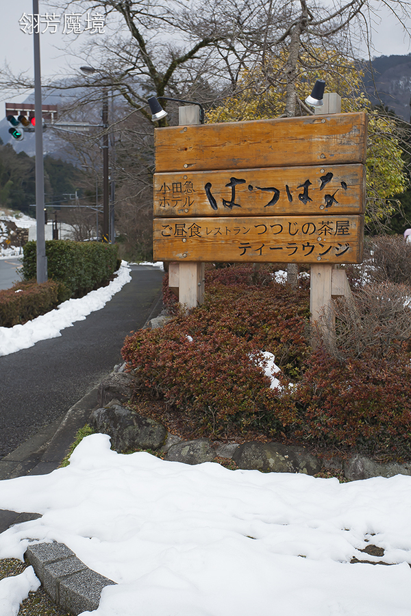 店如其名什么意思,店如其名文案