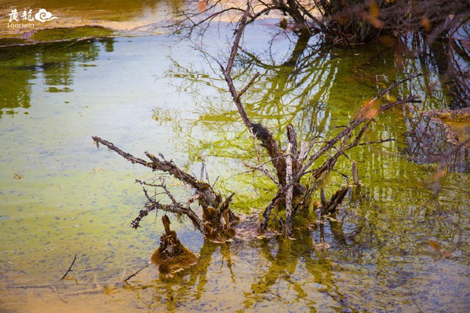 鍛宠暰娴佽繛蹇樿繑,鍛宠暰鐣欐亱
