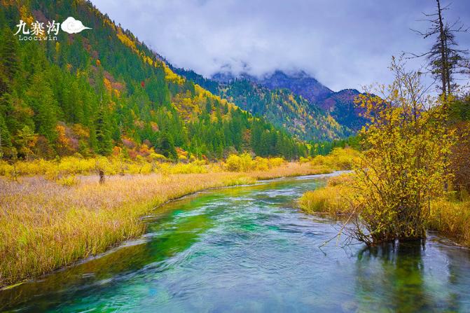 鍛宠暰娴佽繛蹇樿繑,鍛宠暰鐣欐亱