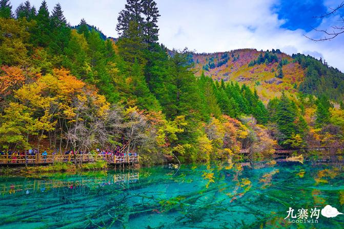 鍛宠暰娴佽繛蹇樿繑,鍛宠暰鐣欐亱