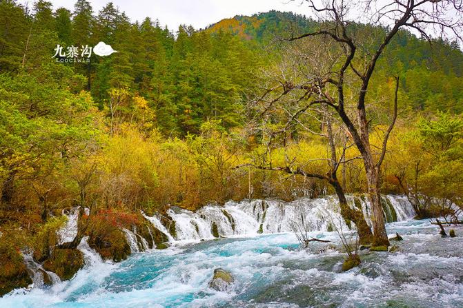鍛宠暰娴佽繛蹇樿繑,鍛宠暰鐣欐亱