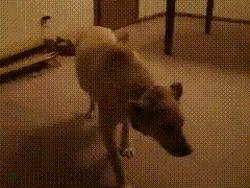 如何在大学期间长高5cm?