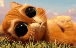 如何在大学期间长高5cm?