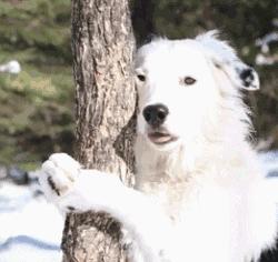 如何在大学期间长高5cm?