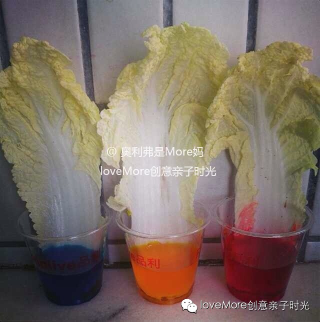 亲子活动记录,适宜2-3个月的亲子活动