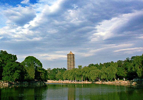 28岁北京姑娘征婚,北京中老年征婚交友50岁左右