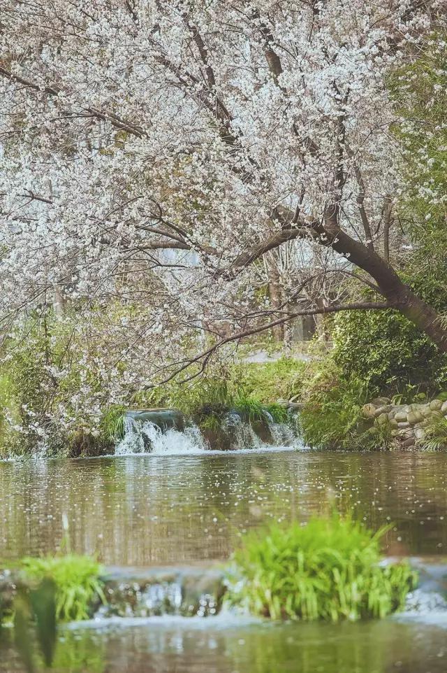 他在这里盖房子时,日本人还没学会唐风