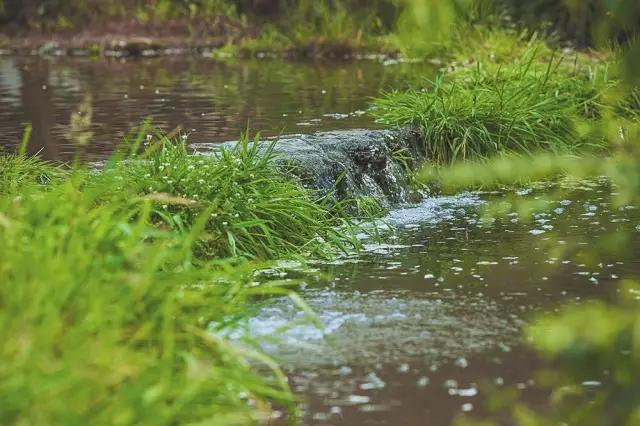 他在这里盖房子时,日本人还没学会唐风