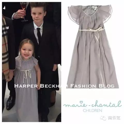 贝小七有多漂亮,贝小七投胎成功案例