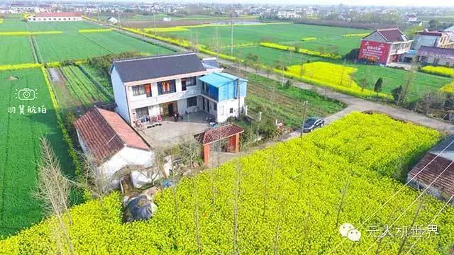 飞手杨泽宇：用无人机做全景漫游系统两天超过25000人访问