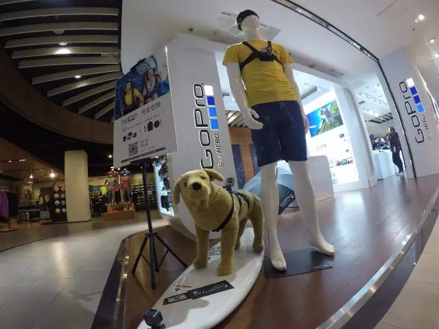 gopro官方直营店加盟,gopro在中国有实体店吗