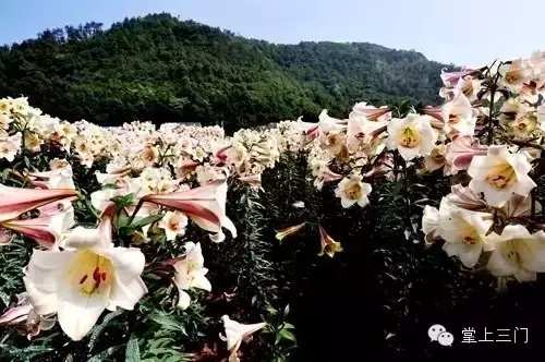 三门县富裕吗,三门是浙江最穷的吗