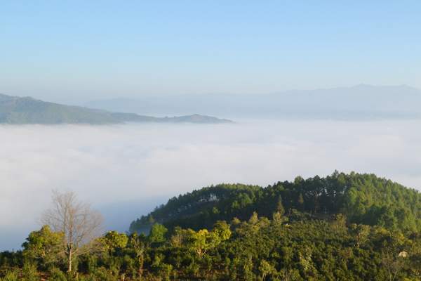 普洱茶熟茶制作流程图,做普洱茶如何入门