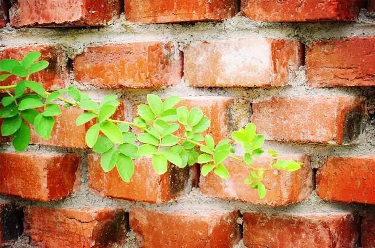 大理古城主题客栈,大理古城mtb主题客栈