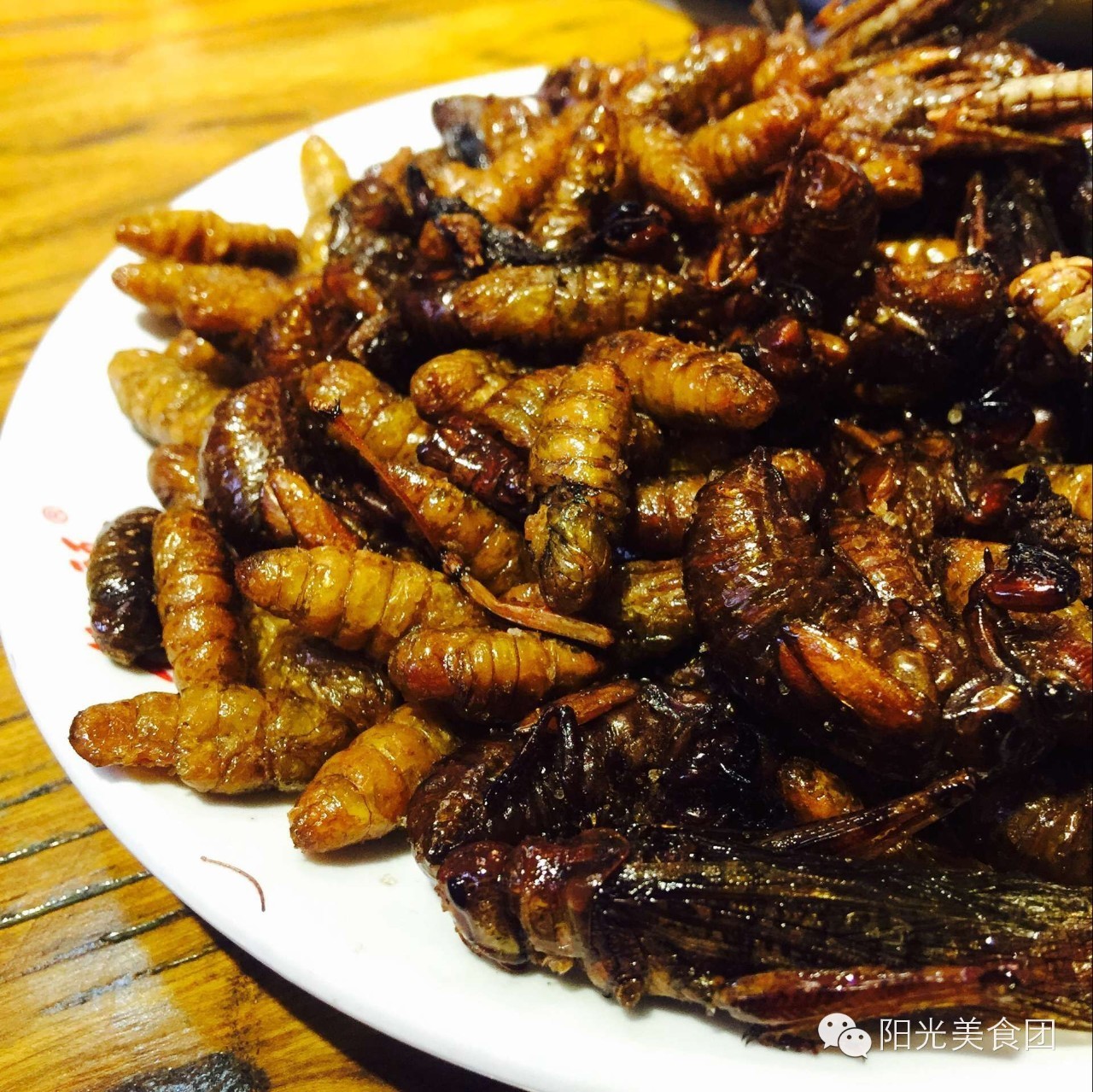 郑州东区重庆老火锅,阳光探店河南