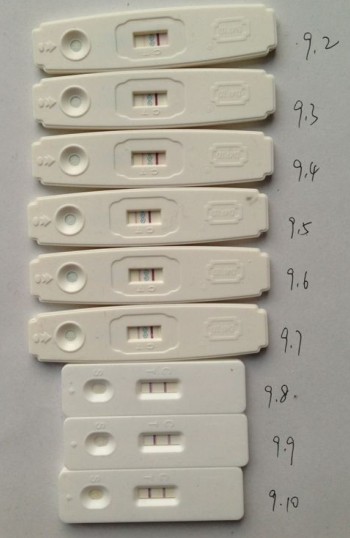 备孕六个月就成功了,备孕五个月成功好孕