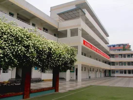 成都第一批新优质学校名单,成都新增75所优质学校