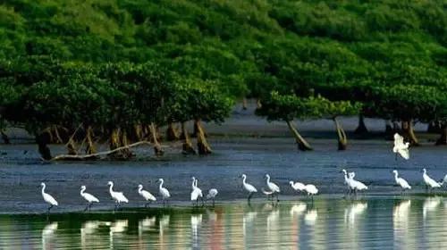 如何全面了解深圳,了解深圳需要去哪些地方