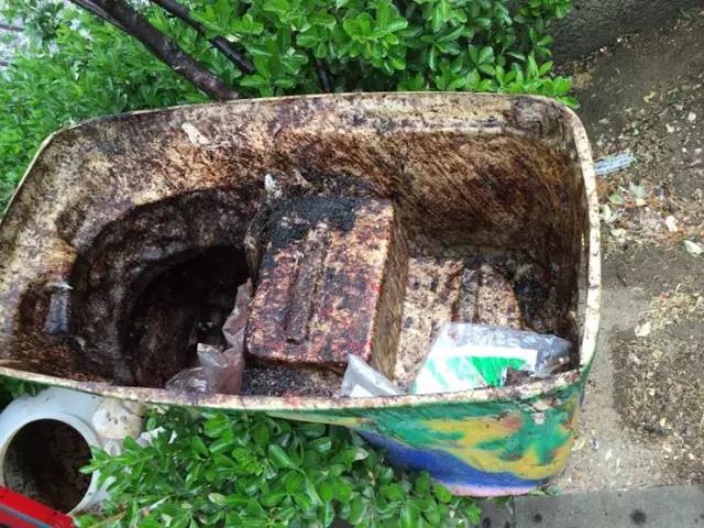 回龙观文华市场活鸡,回龙观活鸡哪里有卖