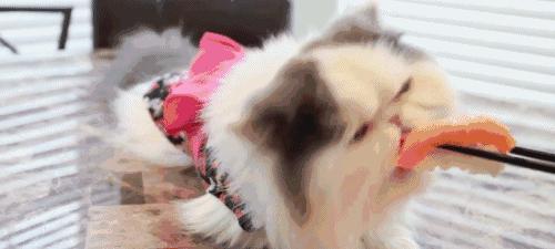 能吃一整天的自助餐,可以吃上一天的自助餐