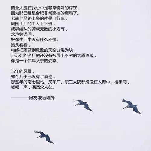 关于南七里的前世与今生,对你说不出再见