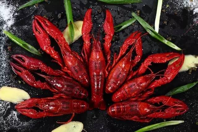 就算你开着玛莎拉蒂，*博兰**基尼也不一定能吃到她家龙虾，每天就这