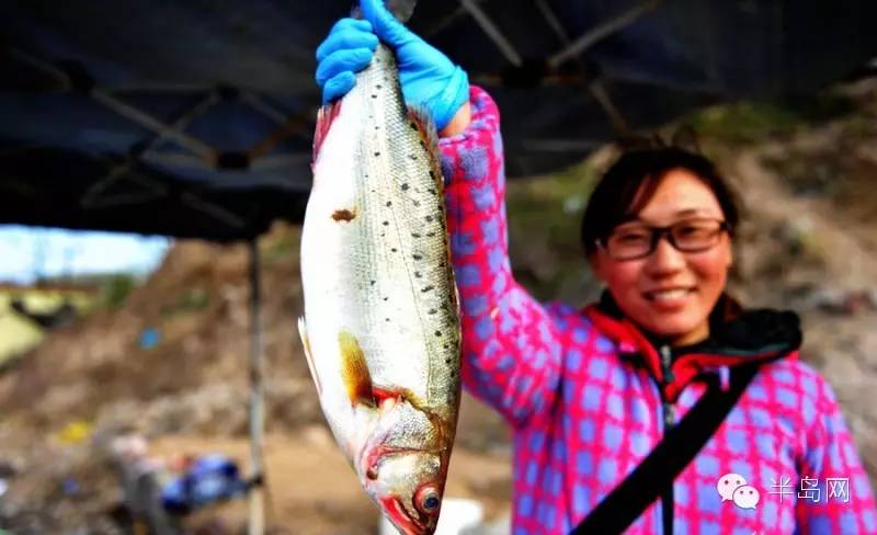 那些不认识的海鲜小干货,超级干货2022