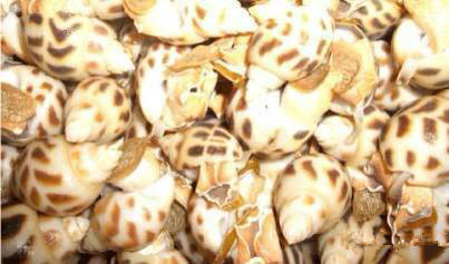 那些不认识的海鲜小干货,超级干货2022