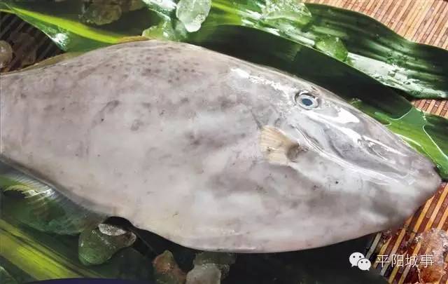 那些不认识的海鲜小干货,超级干货2022