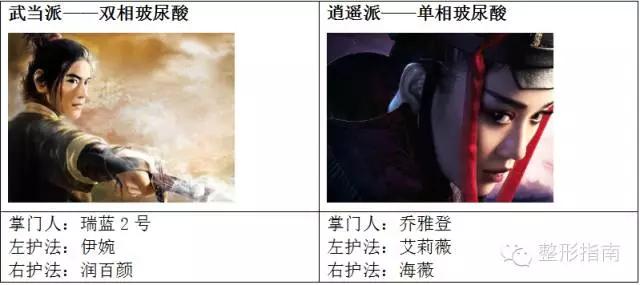 500元的玻尿酸是什么品牌,玻尿酸品牌中国市场占有率