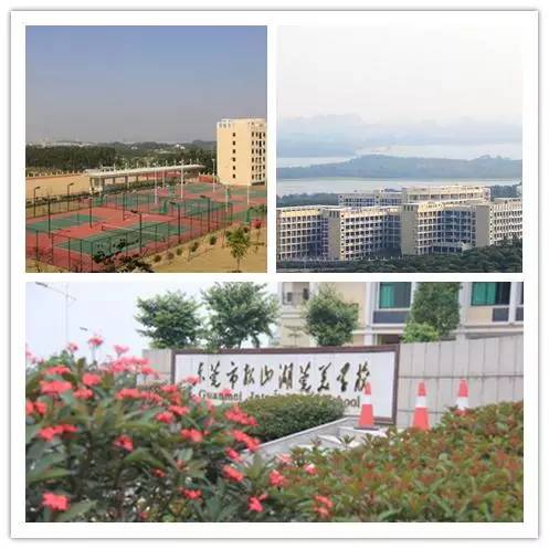 松山湖哪个学校比较好,如何才能入读松山湖未来学校