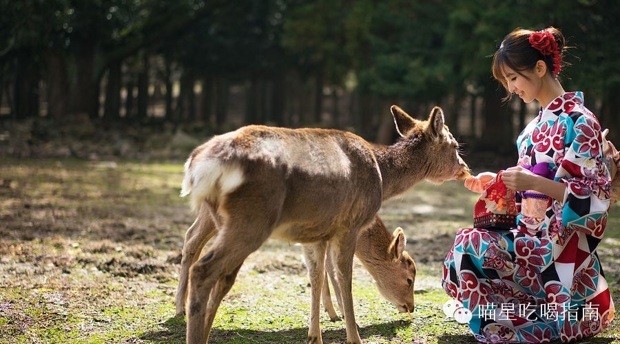 奈良鹰长菩提清酒,奈良时代的日本历史