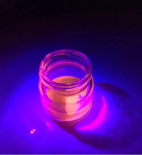 将南瓜子稍加“调教”不可思议的一幕发生了!