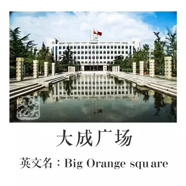 趣谈这里有一本山大非官方英文名称图册