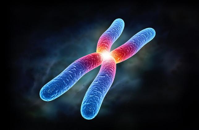 怎样做容易生儿子，要做什么孕前准备？