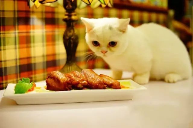 广州六大美食,广州西华街美食