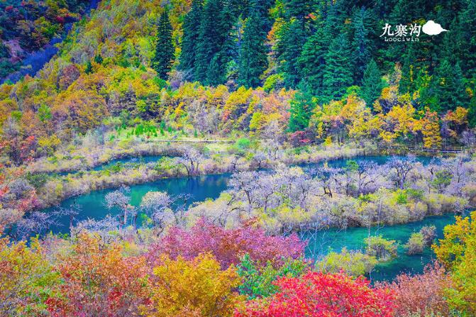 鍛宠暰娴佽繛蹇樿繑,鍛宠暰鐣欐亱