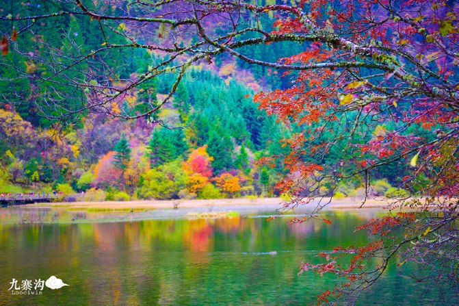 鍛宠暰娴佽繛蹇樿繑,鍛宠暰鐣欐亱