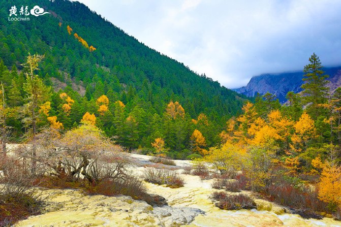 鍛宠暰娴佽繛蹇樿繑,鍛宠暰鐣欐亱