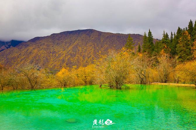 鍛宠暰娴佽繛蹇樿繑,鍛宠暰鐣欐亱
