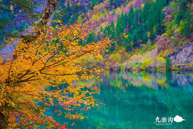 鍛宠暰娴佽繛蹇樿繑,鍛宠暰鐣欐亱