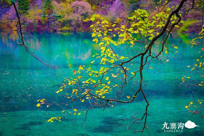 鍛宠暰娴佽繛蹇樿繑,鍛宠暰鐣欐亱
