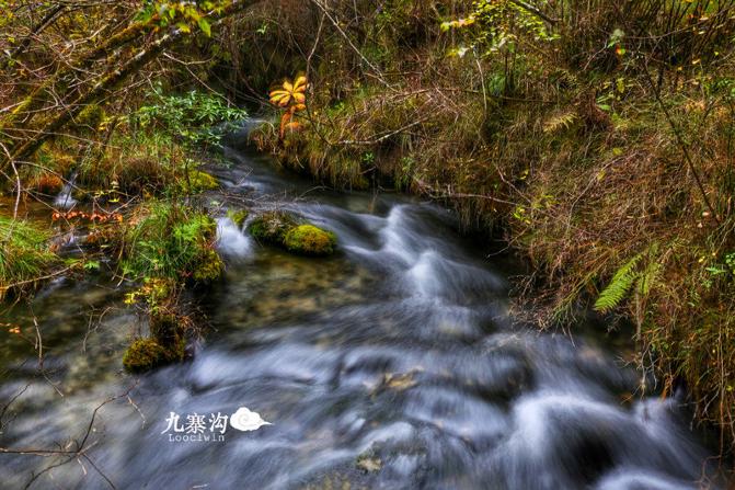 鍛宠暰娴佽繛蹇樿繑,鍛宠暰鐣欐亱