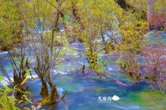 鍛宠暰娴佽繛蹇樿繑,鍛宠暰鐣欐亱