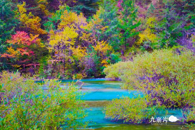 鍛宠暰娴佽繛蹇樿繑,鍛宠暰鐣欐亱