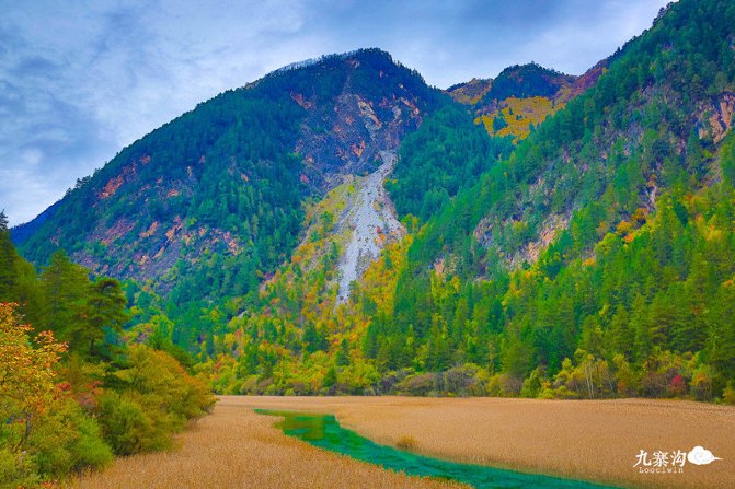 鍛宠暰娴佽繛蹇樿繑,鍛宠暰鐣欐亱